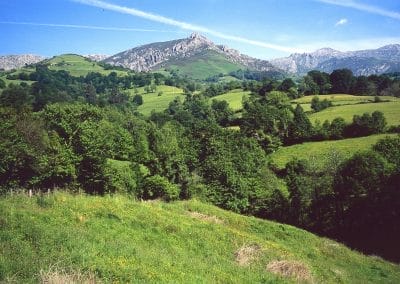 Piloña