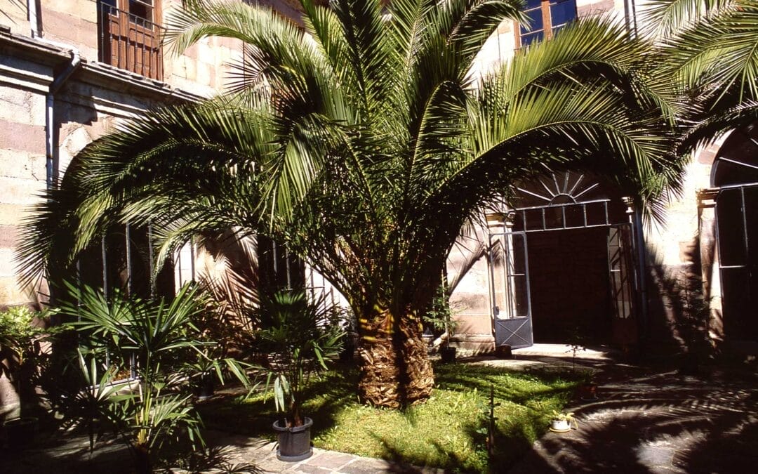 Caldas de Besaya