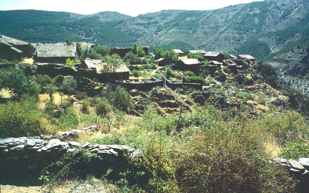La Vereda
