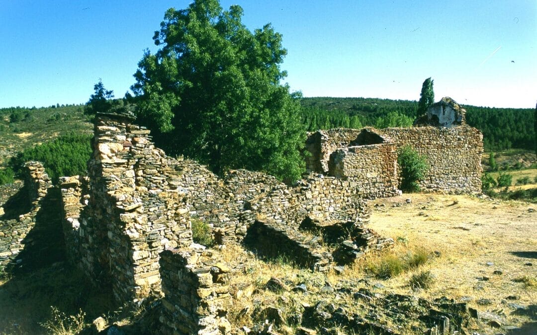 Sacedoncillo