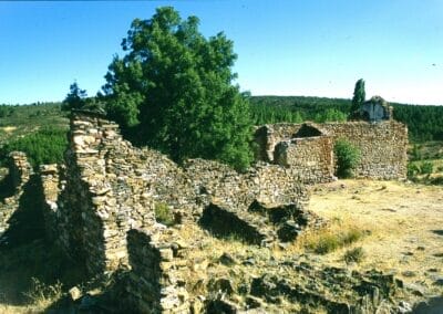 Sacedoncillo
