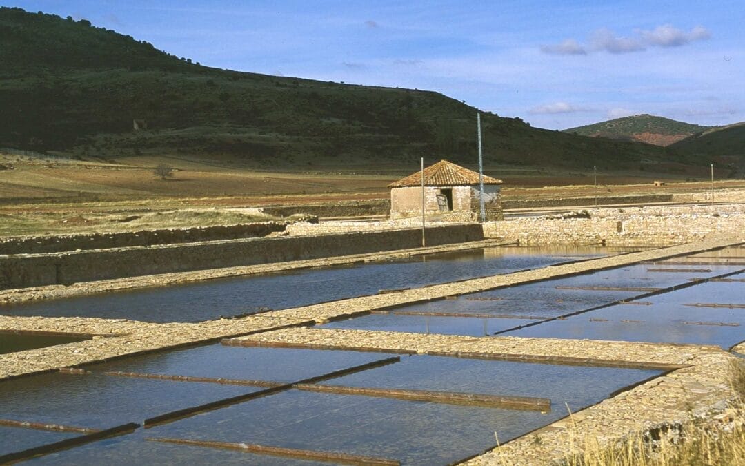 Salinas de Imón