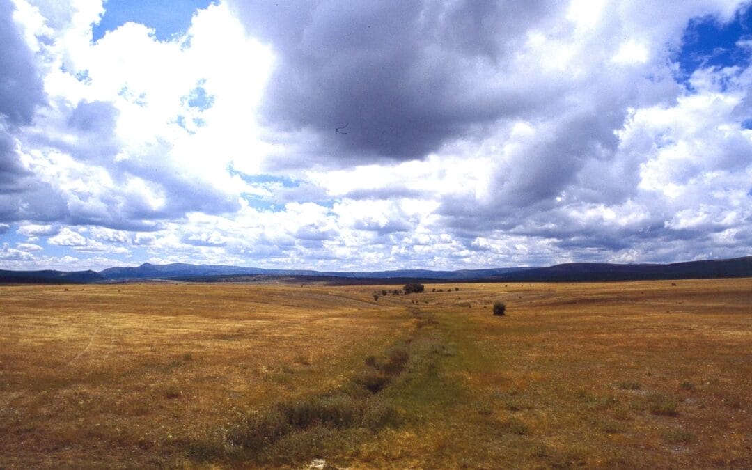 Sierra Pela