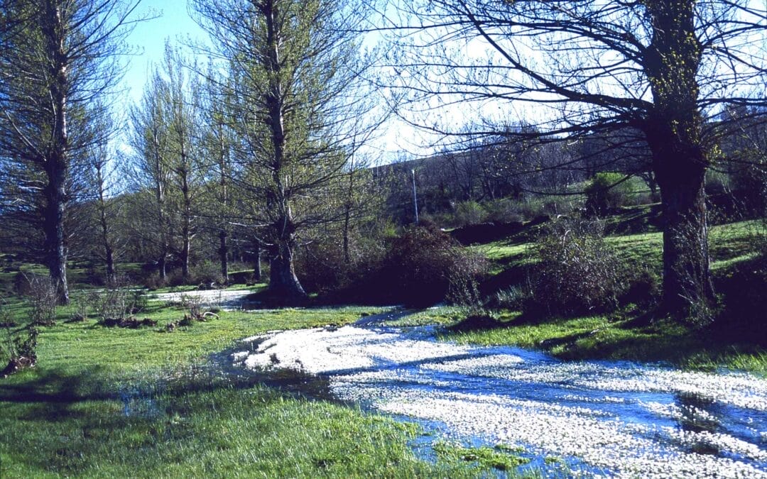 Valle del Ocejón